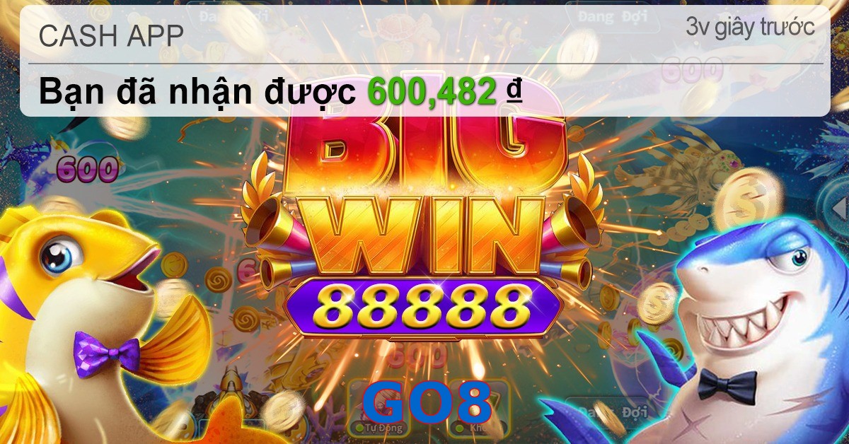 GO8